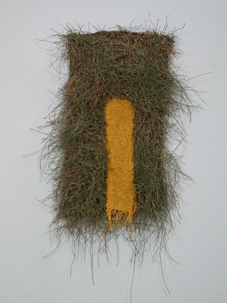 Sod, Highway Paint20056"x12"